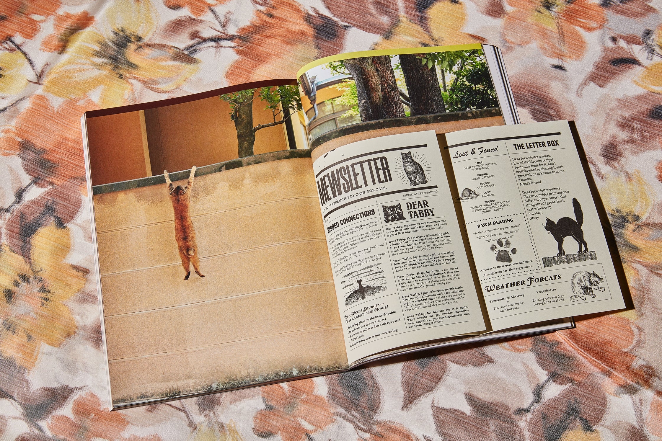 Catnip Magazine - A Magazine for Cat People - Image 3