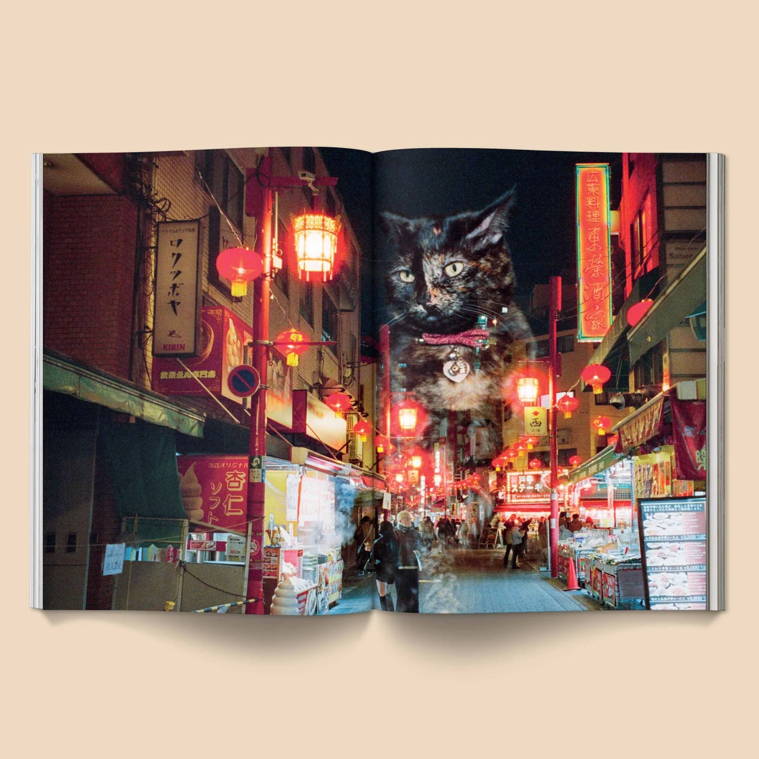 Catnip Magazine - A Magazine for Cat People - Image 4