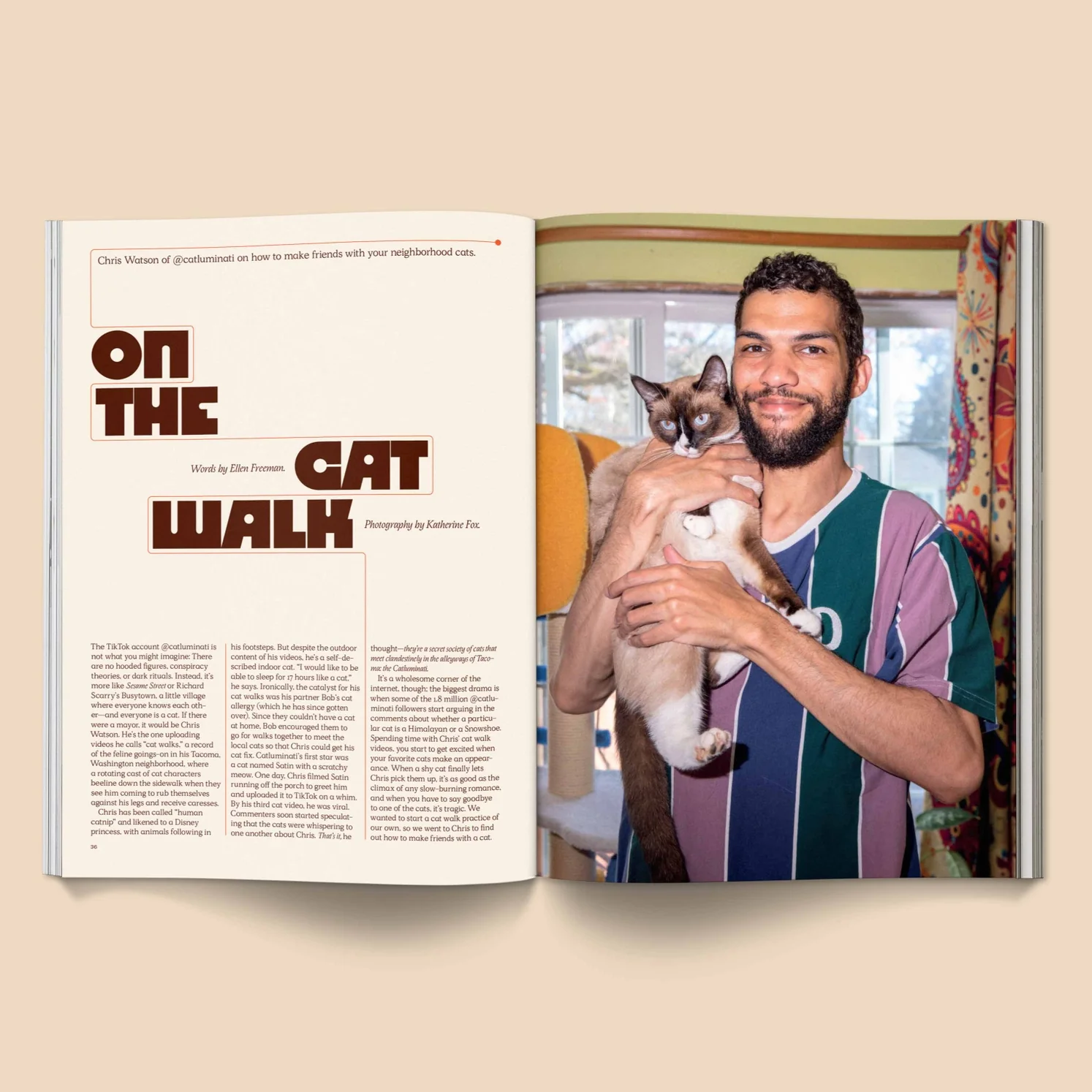 Catnip Magazine - A Magazine for Cat People - Image 5